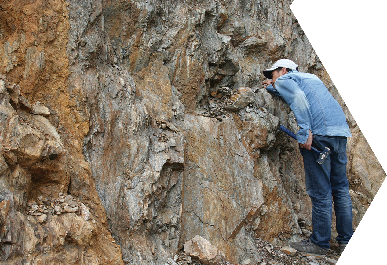 Facultad Ingenieria UNAM